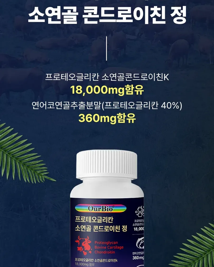 네이처코퍼레이션